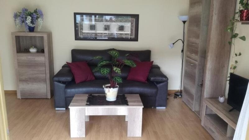 100M2 Big Apartment Private Garden And Pool/ 100M2 Gran Apartamento Jardin Privado Y Piscina / Acogedor Apartamento En Zona Tranquila Y Agradable 캠브릴스 외부 사진